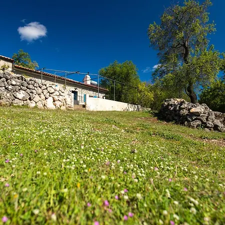 Eco House Picik