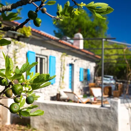 Eco House Picik בית נופש Pinezići