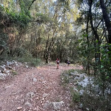 בית נופש Eco House Picik